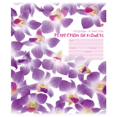 тетрадь 18 листов Цветы паттерн 7-18-243/2 в линейку