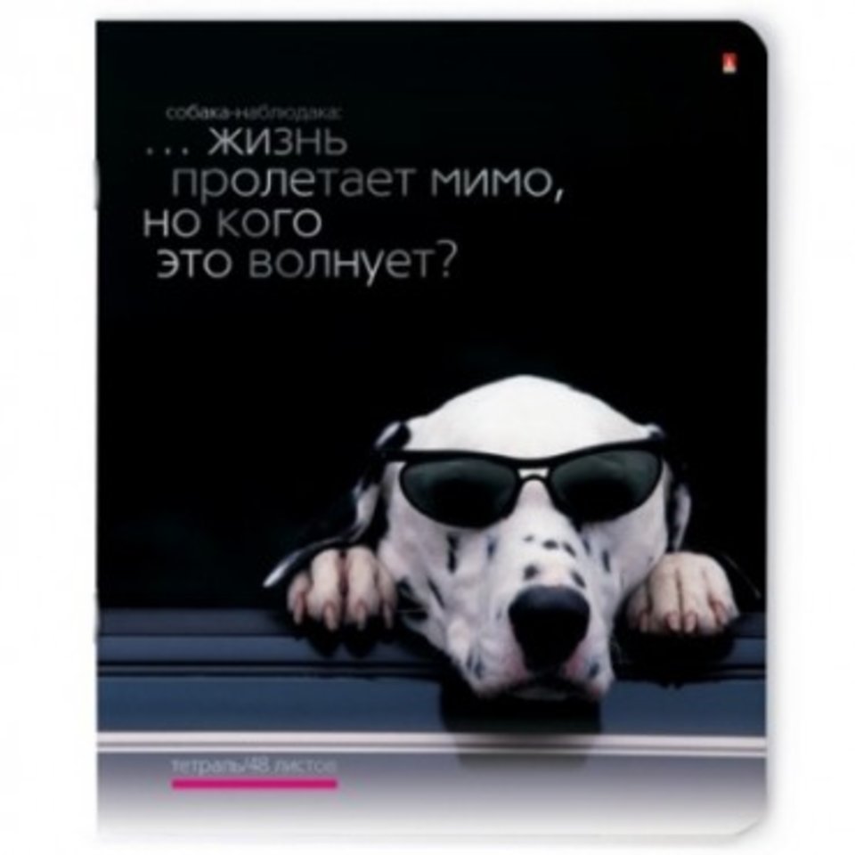 тетрадь 48 листов Приколы, Собаки 7-48-696 в клетку