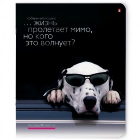 тетрадь 48 листов Приколы, Собаки 7-48-696 в клетку