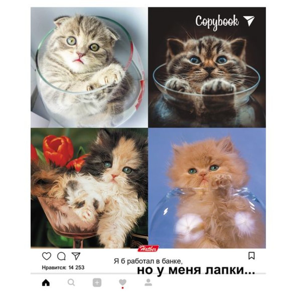 тетрадь 48 листов Но у меня лапки (052328) в клетку