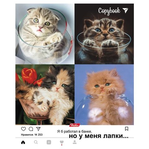 тетрадь 48 листов Но у меня лапки (052328) в клетку