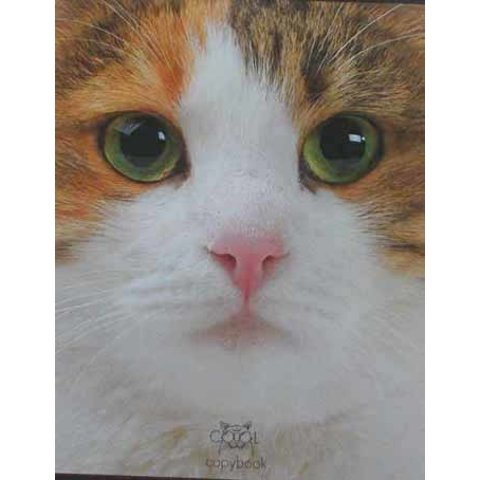 тетрадь 48 листов Кошачьи мордочки в клетку