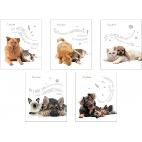 тетрадь 18 листов Дружба 40107 в клетку