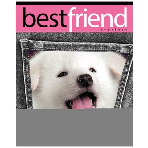 тетрадь 48 листов Best friends в клетку