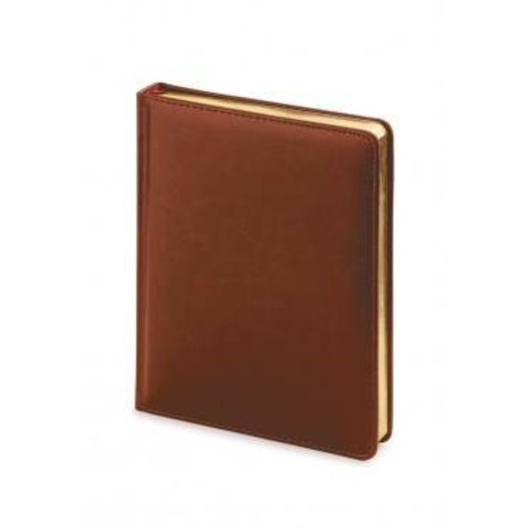ежедневник недатированный А6 твердый переплет Sidney коричневый золотистый срез 3-496/03 (Альт)
