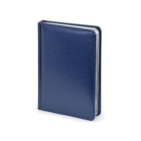 ежедневник недатированный А5 твердый переплет синий серебристый срез 3-496/12 (Альт)