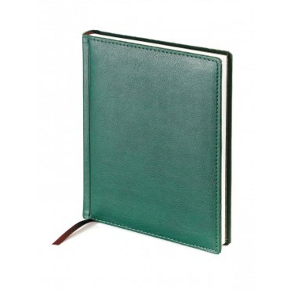 ежедневник недатированный А6 Leader зеленый 3-497/02 Bruno Visconti