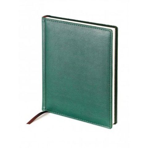 ежедневник недатированный А6 Leader зеленый 3-497/02 Bruno Visconti
