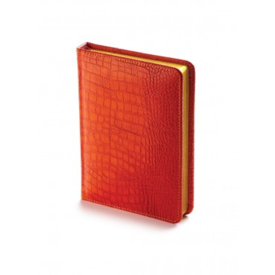 ежедневник недатированный А6 Manhattan оранжевый 3-205/01 Bruno Visconti