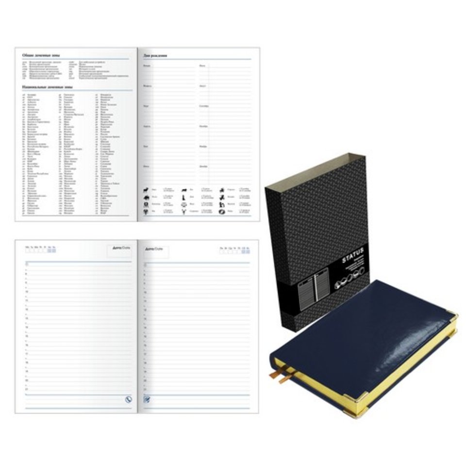 ежедневник недатированный А5 Status синий 51915203