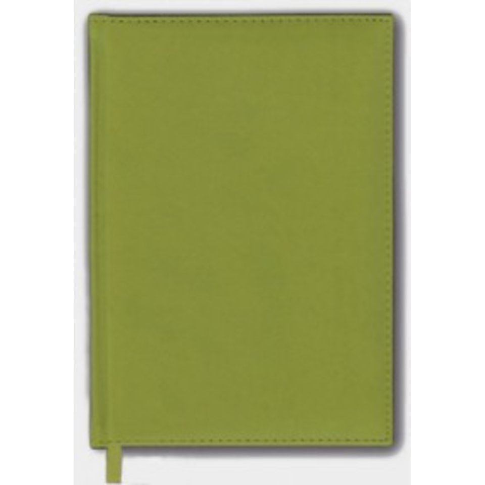 ежедневник недатированный А5 Напа салатовый 38132/15