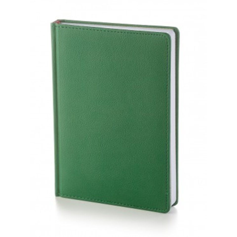 ежедневник недатированный А5+ Leader зеленый 3-129/02 Альт