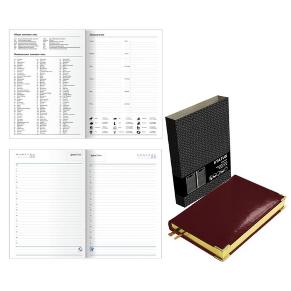 ежедневник недатированный А5 Status темно-бордовый 51915204