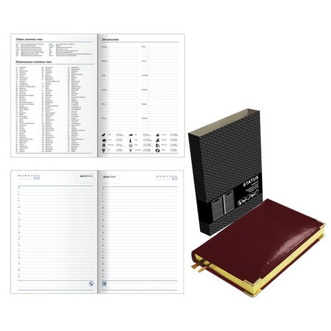 ежедневник недатированный А5 Status темно-бордовый 51915204