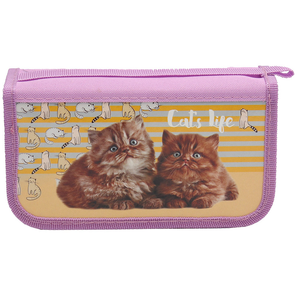 пенал Кошачья жизнь 3 отделения ПН-5708