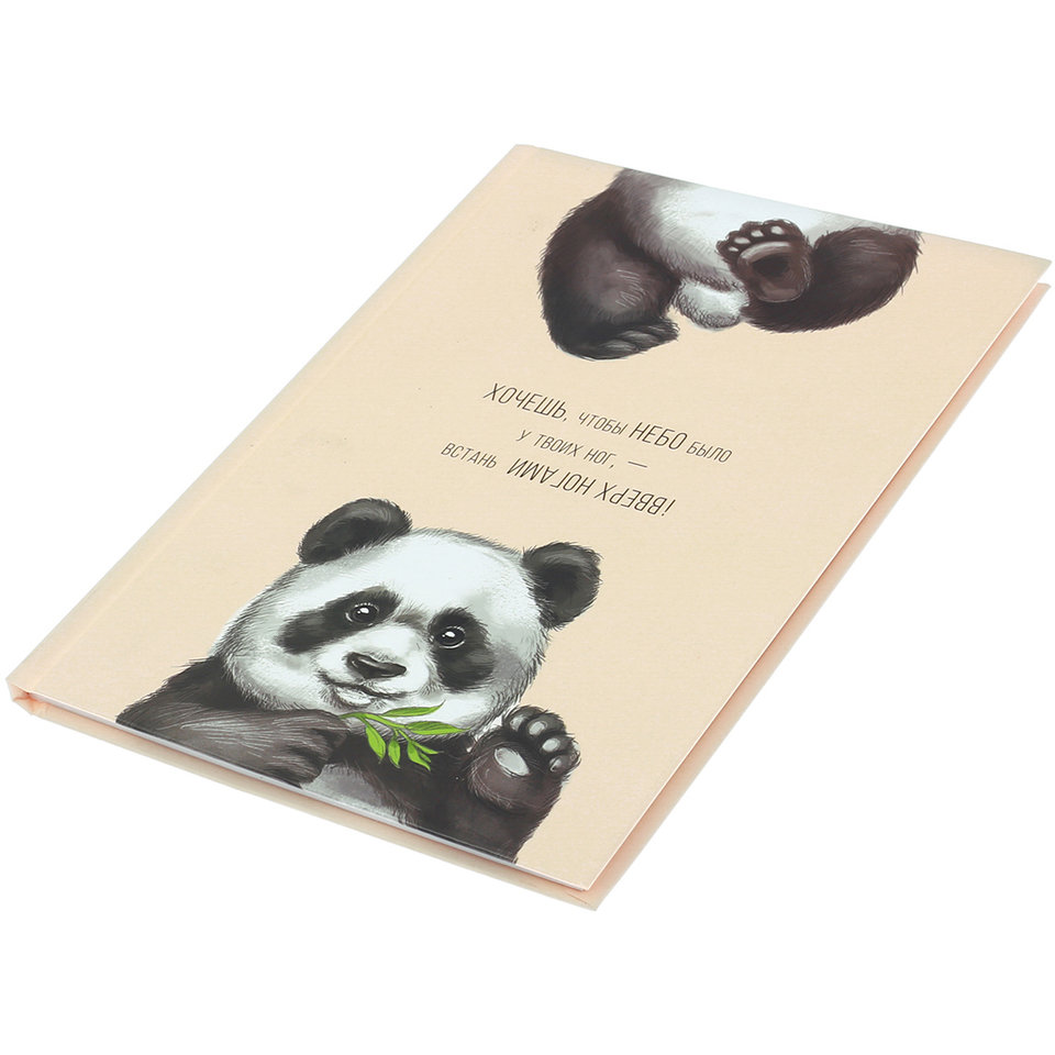 ежедневник недатированный А5 80 листов Небо у твоих ног 2717719