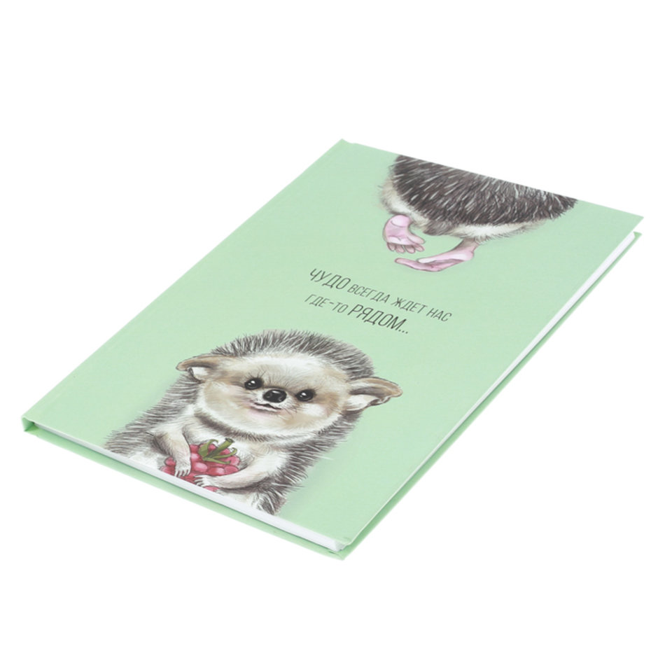 ежедневник недатированный А5 80 листов Чудо рядом 2717720