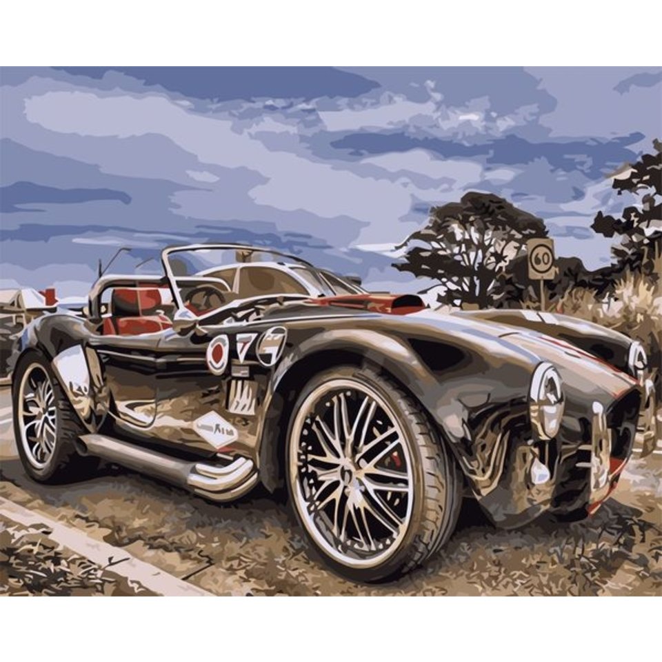 картина по номерам 40х50см VA-0336 “Гоночный автомабиль”