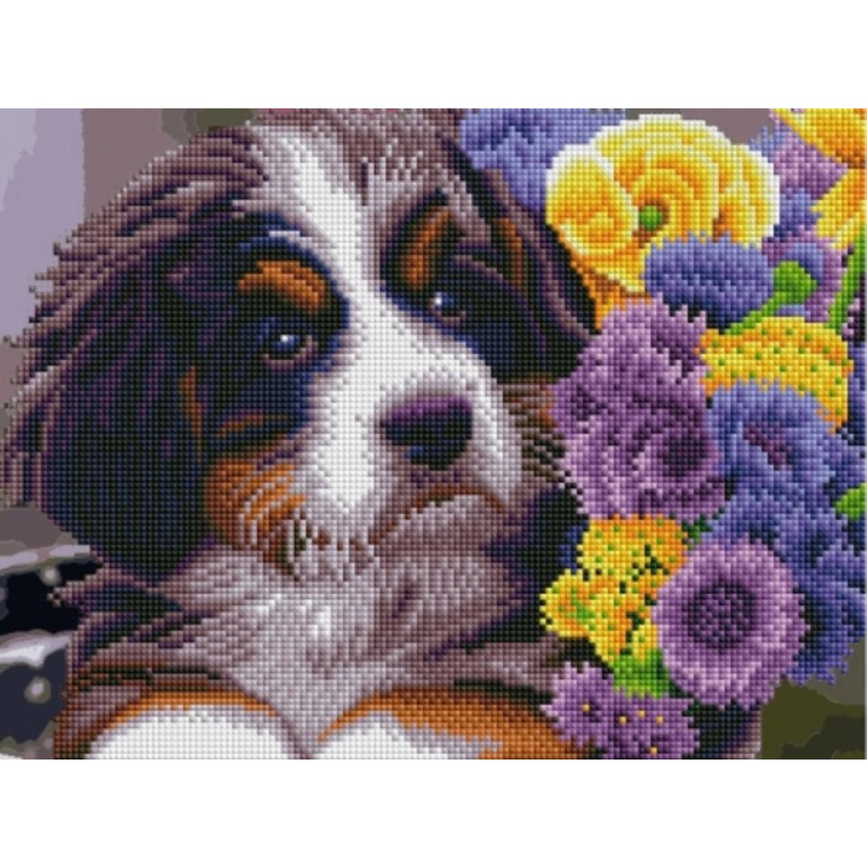 алмазная мозаика на подрамнике Щенок Зенненхунда 30х40см ACK3002