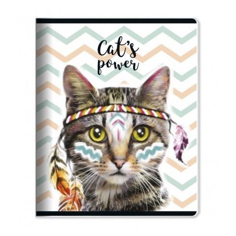 тетрадь 48 листов Indie Кот в клетку
