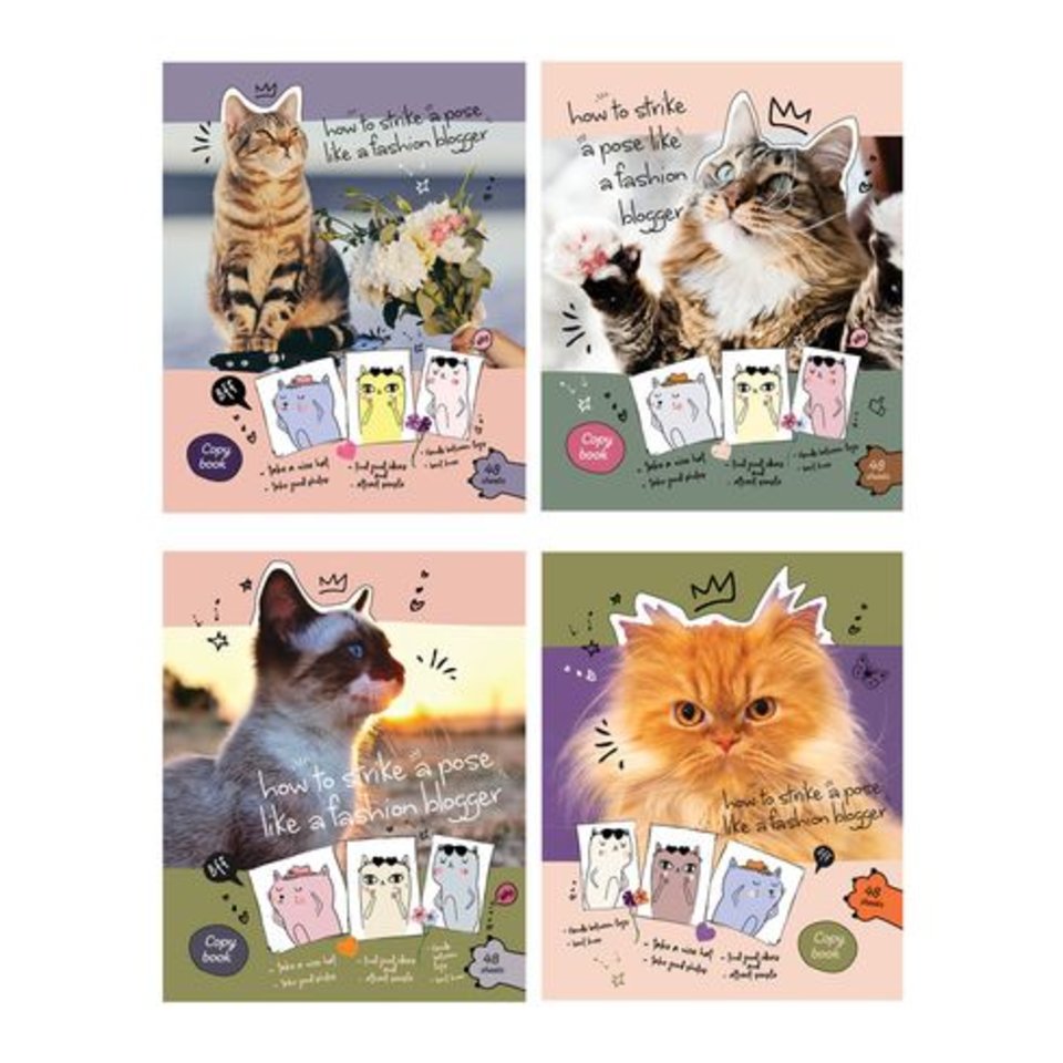 тетрадь 48 листов Cat blogger в линейку