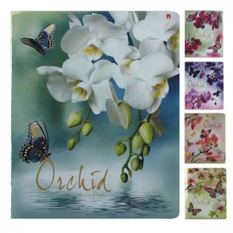 тетрадь 48 листов Орхидеи 7-48-636 в клетку