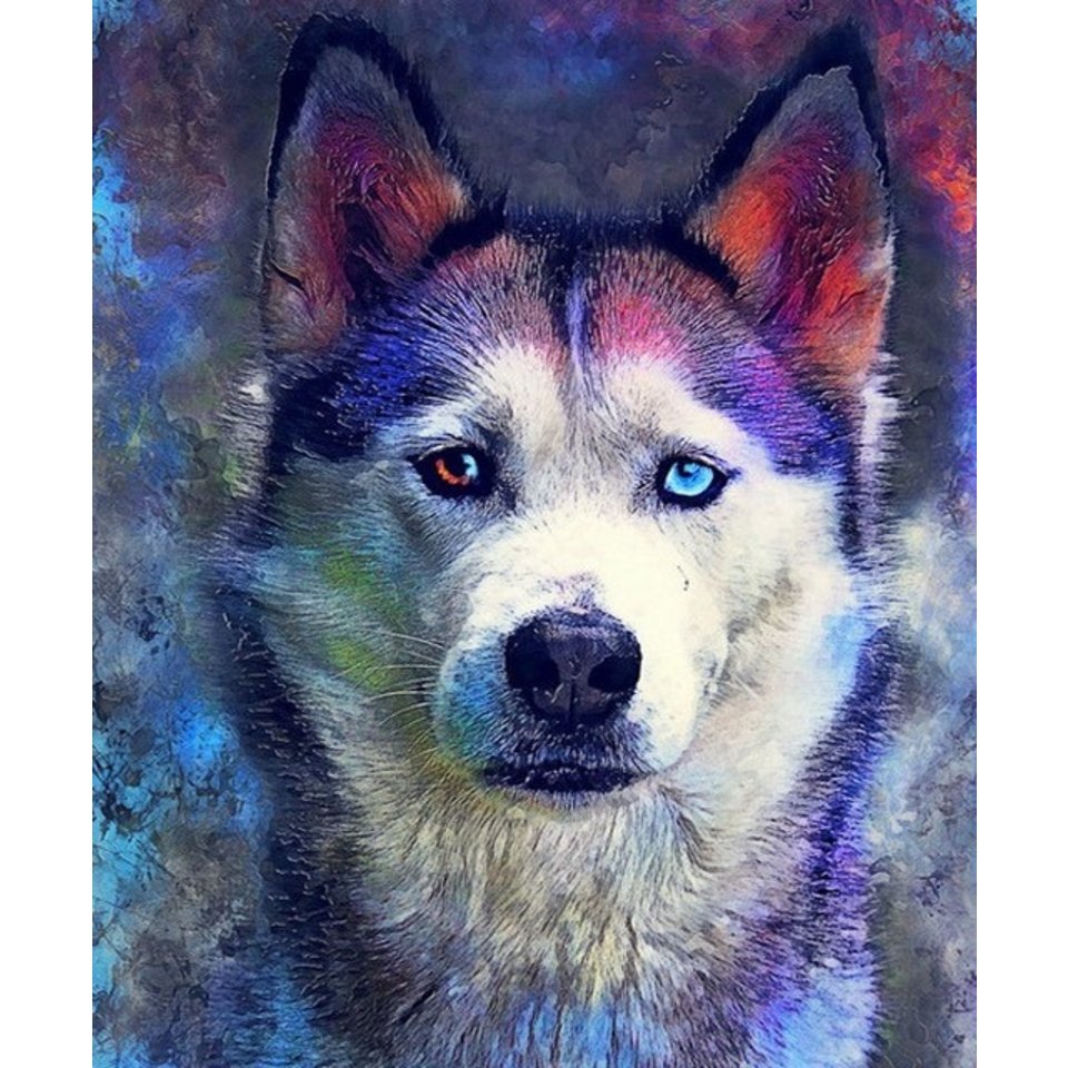 картина по номерам Одинокий взгляд 40х50см GX30357