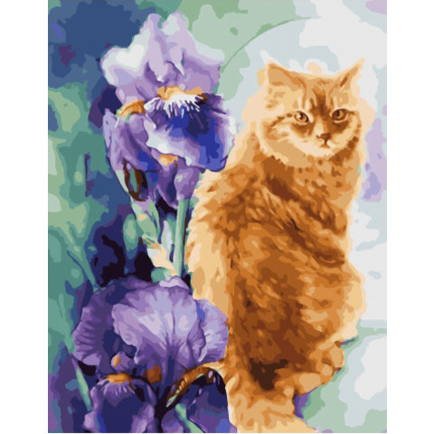 картина по номерам Рыжий кот и ирисы 40х50см GX34327