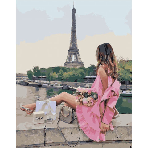 картина по номерам Заветная мечта 40х50см PK51042