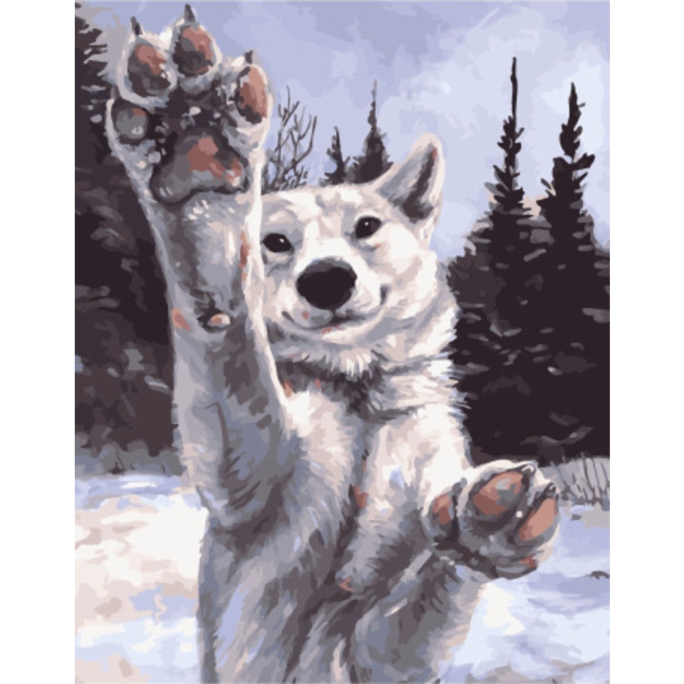 картина по номерам Дружелюбие 40х50см PK38044