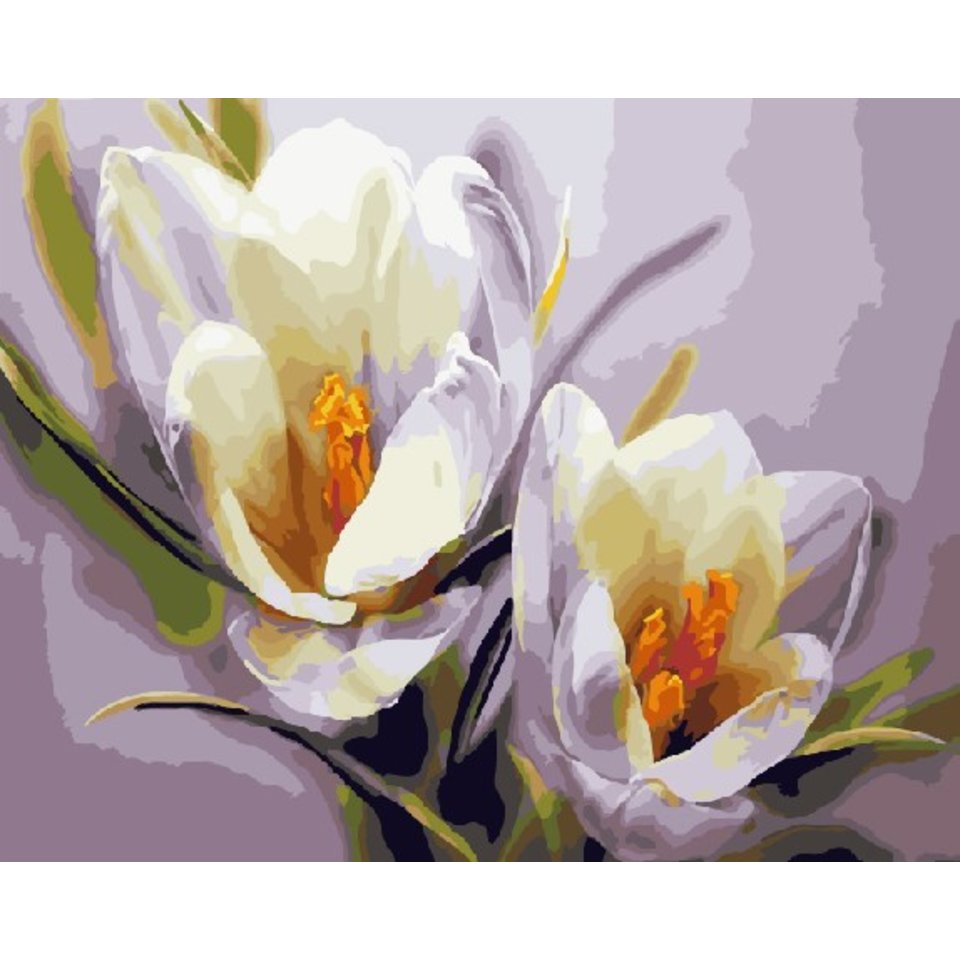 картина по номерам Цветочная нежность 40х50см GX5828