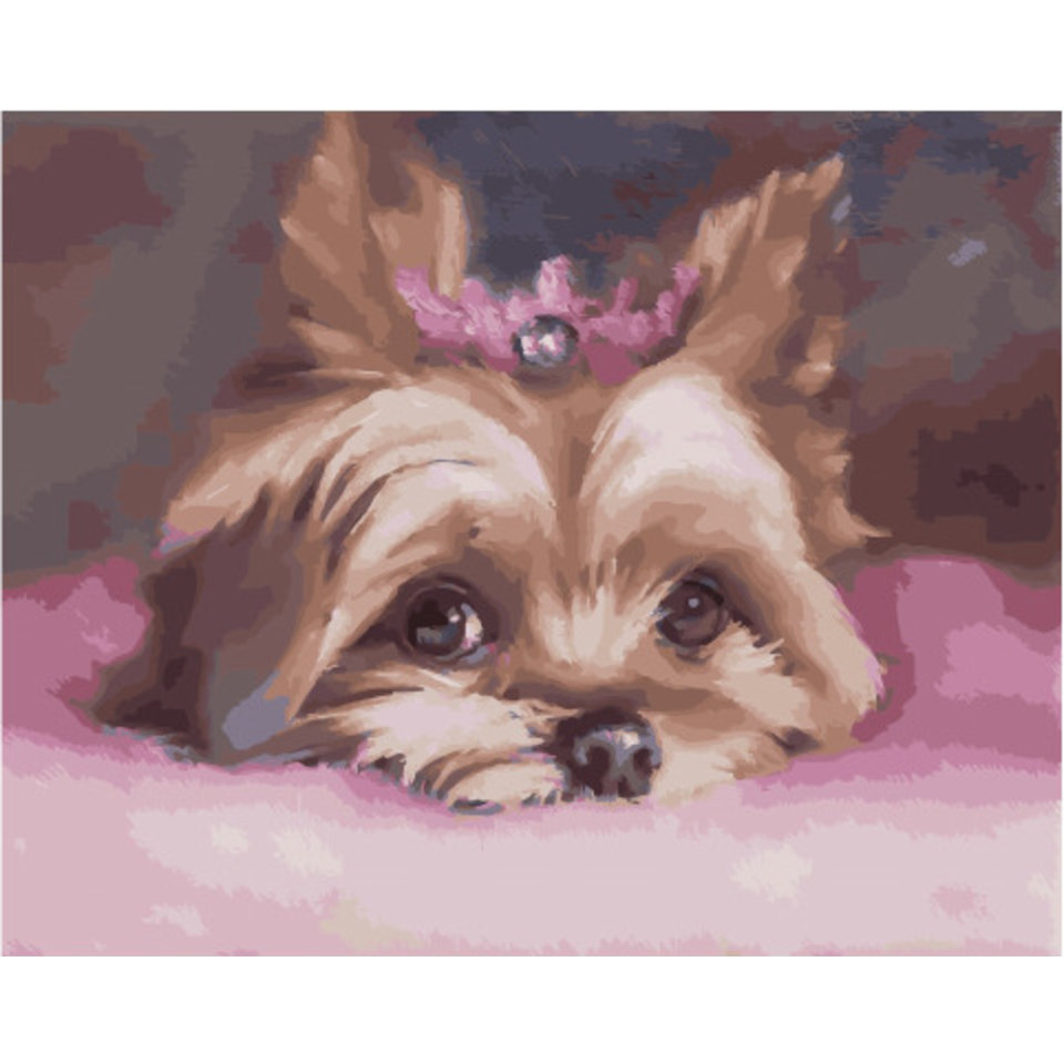 картина по номерам Принцесса 40х50см PK45040