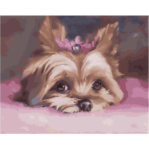 картина по номерам Принцесса 40х50см PK45040