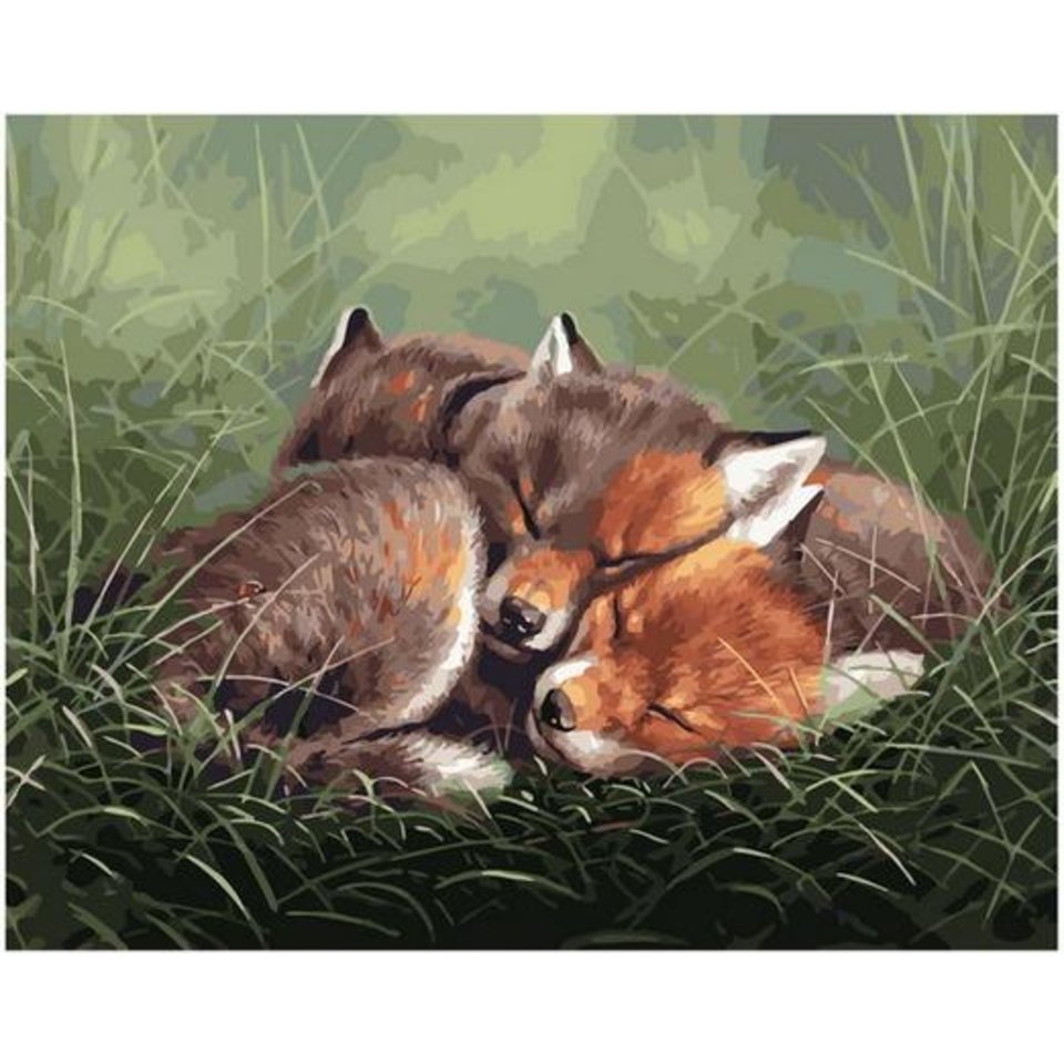 картина по номерам Спящие лисята 40х50см PK68067