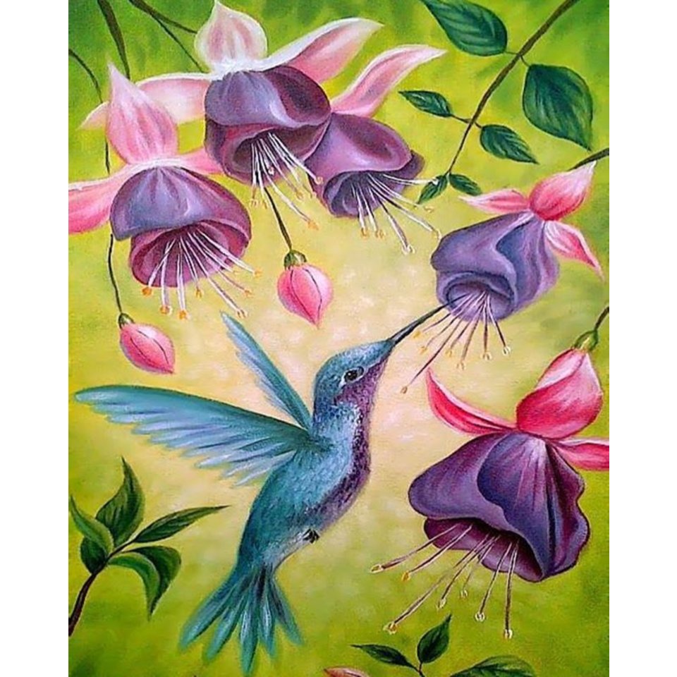 картина по номерам 40х50см VA-1401 “Колибри”