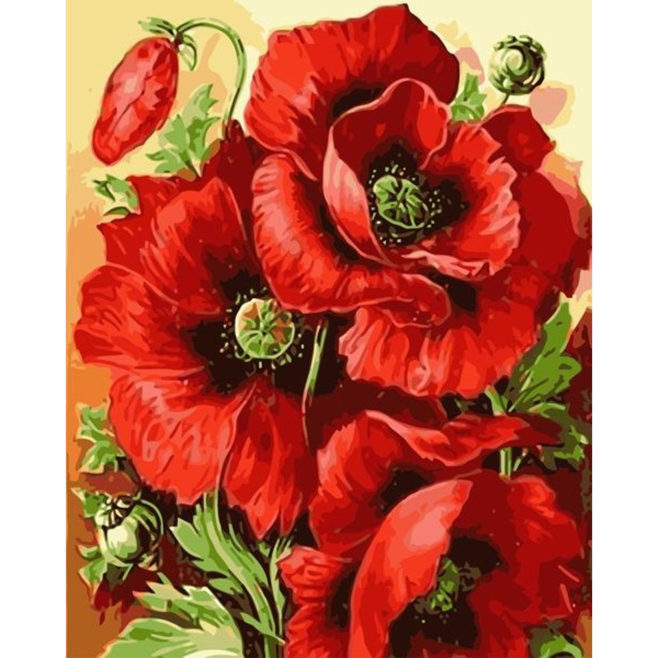 картина по номерам 40х50см VA-0659 “Три мака”