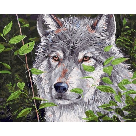 картина по номерам 40х50см RDG-2843 “Серый волк”