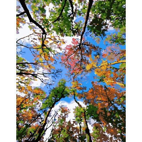 картина по номерам Взгляд в небо 40х50см GX8818