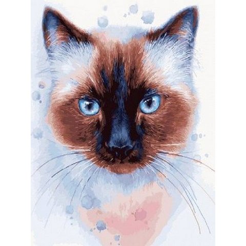 картина по номерам Голубоглазый кот 40х50см GX22407