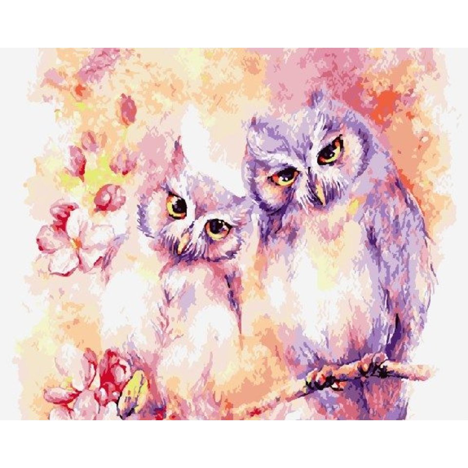 картина по номерам Две совушки 40х50см GX4913