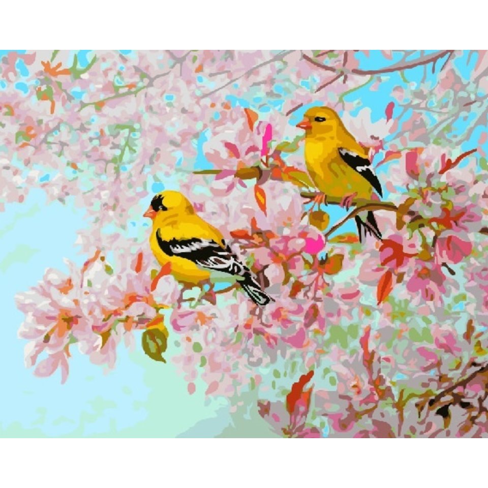картина по номерам Желтые птицы 40х50см GX25293
