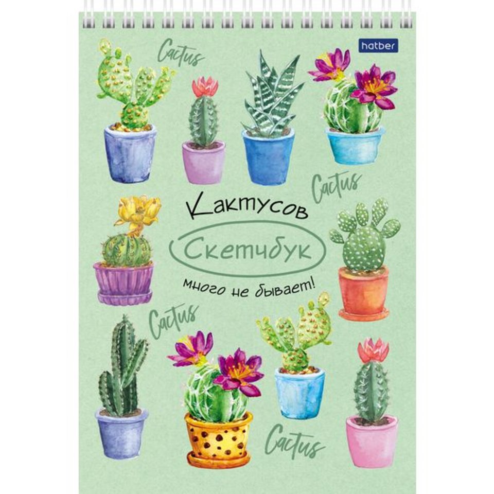 скетчбук А5 80 листов Кактусов много не бывает 22222(060699)