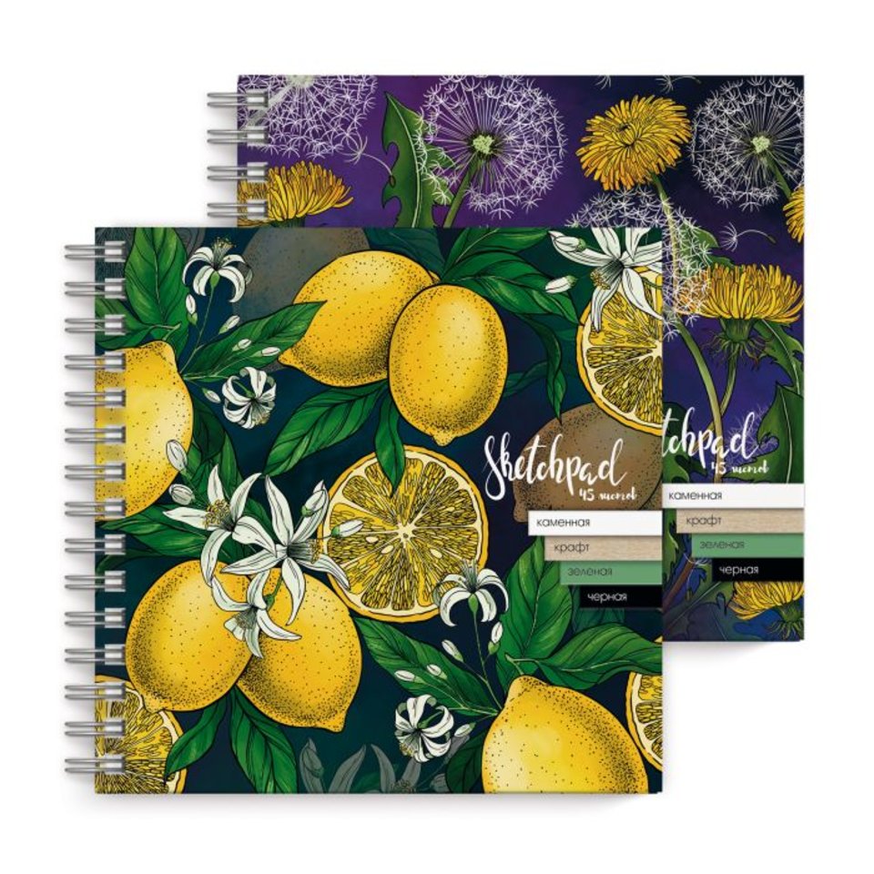 скетчпад А5 45 листов Фрукты 4в бумаги 80-245г/м2 52091