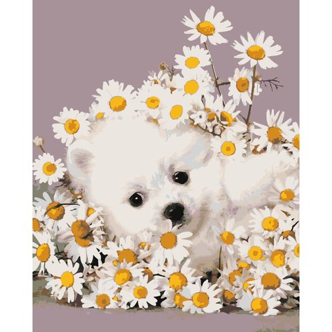 картина по номерам Щенок в ромашках 40х50см HS0407