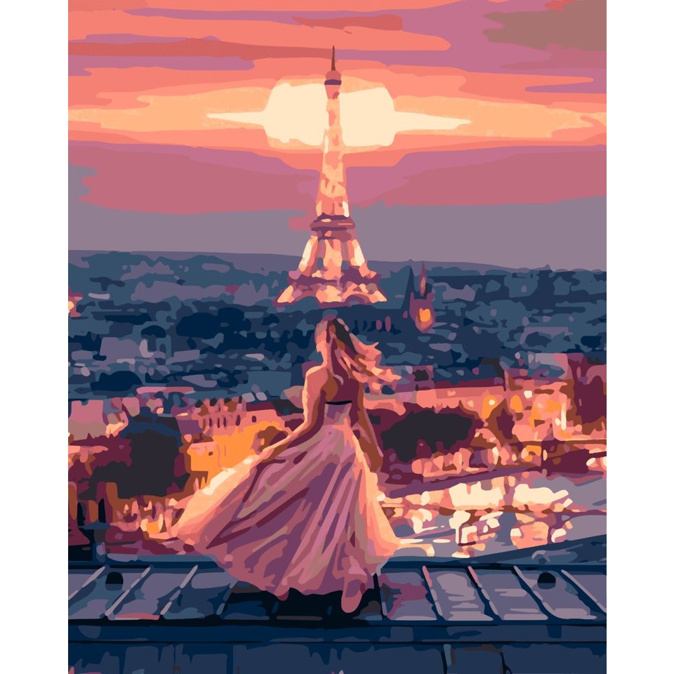 картина по номерам На крыше в Париже 40х50см HS1085