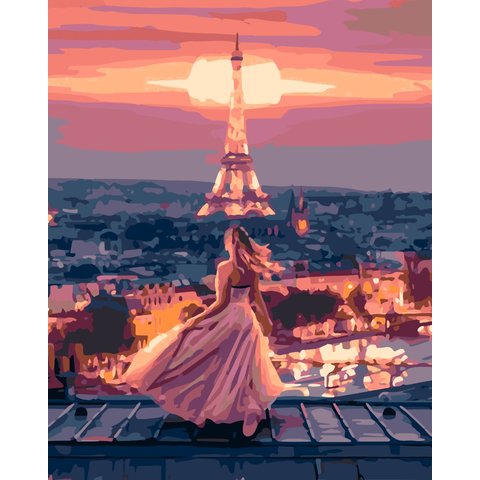 картина по номерам На крыше в Париже 40х50см HS1085