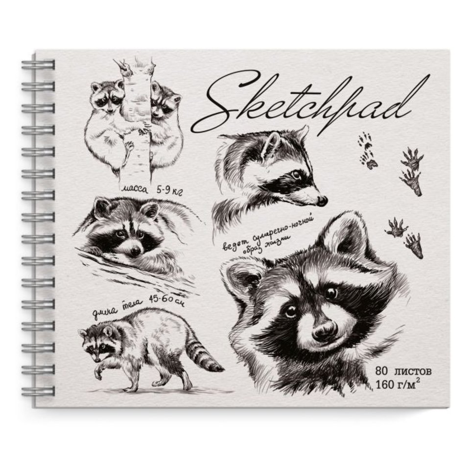 скетчбук А5 80 листов Енот на гребне 160г/м2 53298
