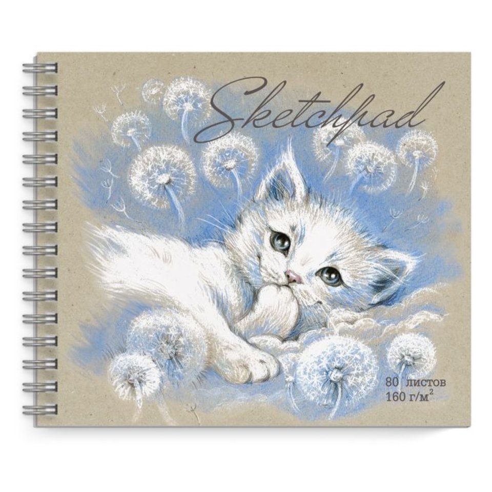 скетчбук А5 80 листов Котенок на гребне 160г/м2 53297