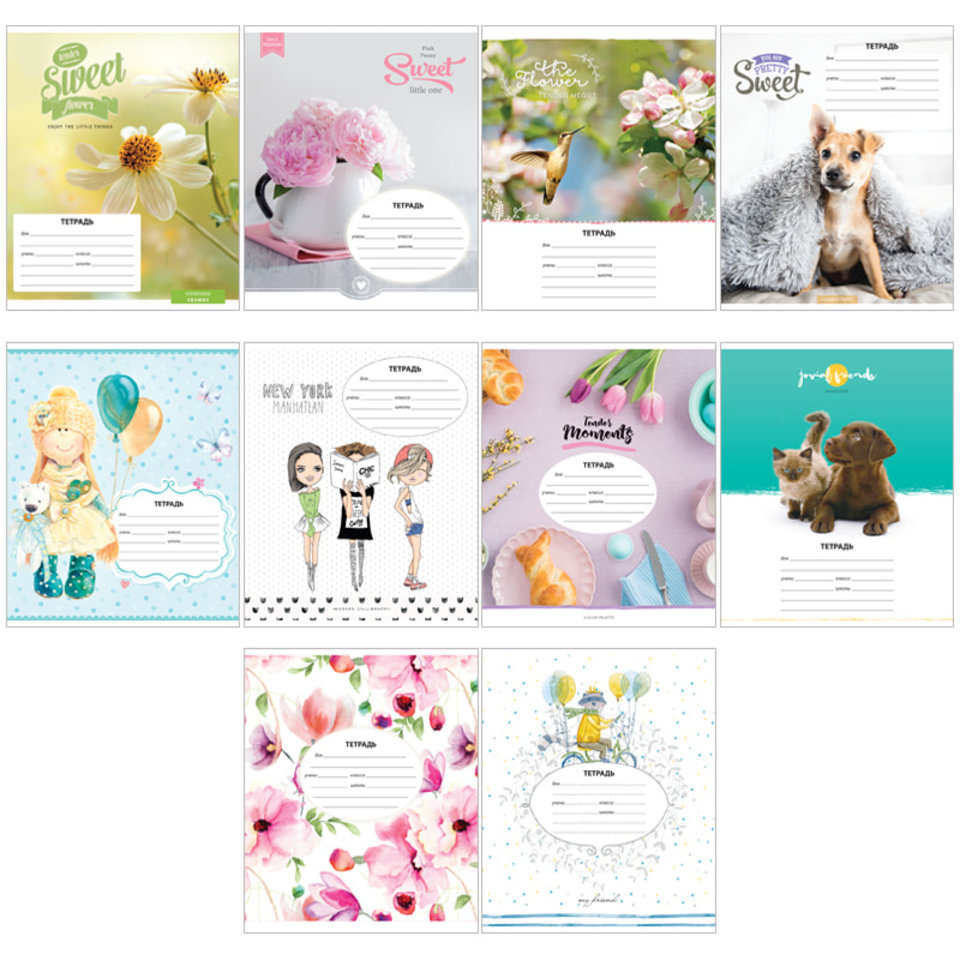 тетрадь 12 листов для девочек в косую линейку 17883 (257123)