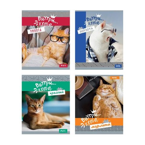 тетрадь 48 листов Внутри кота в клетку 8632